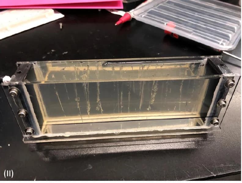 Project photograph of the deeper gelatin specimen held inside the rig's transparent observation fixture.